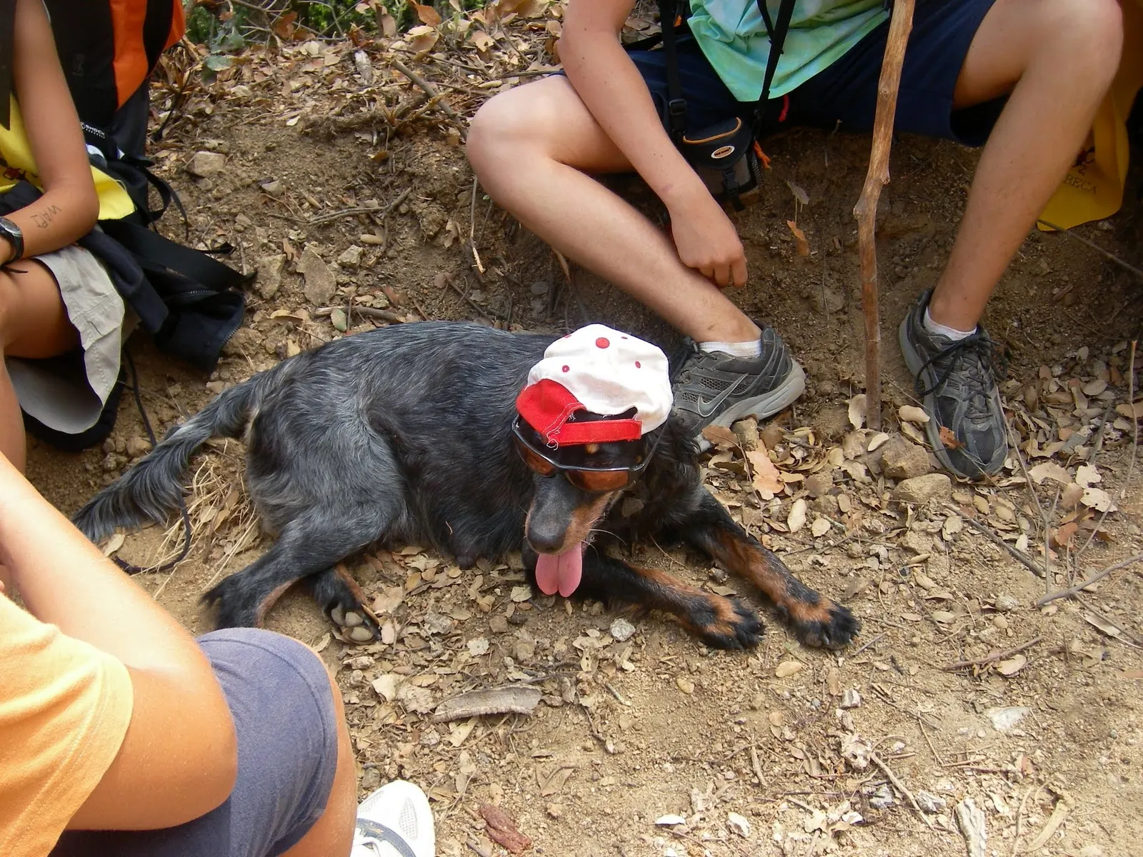 Colònies 2009, Mas de Ramió · Fogars de Tordera — foto 14