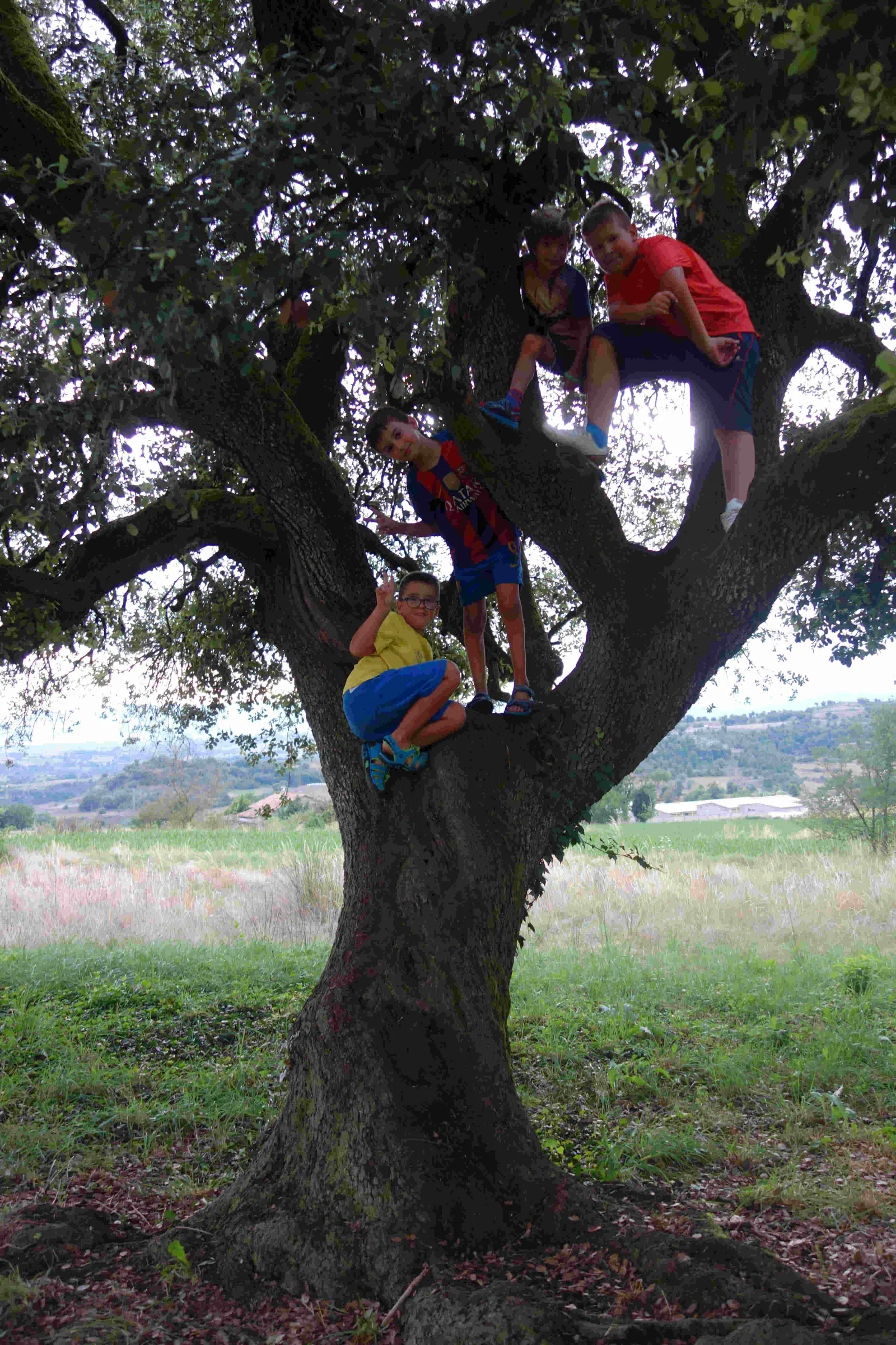 Colònies 2019, Cal Masover · L'Esquirol — foto 15
